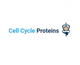 Cell Cycle Recombinant Proteins